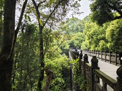 -南山植物园