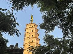 -白塔山公园