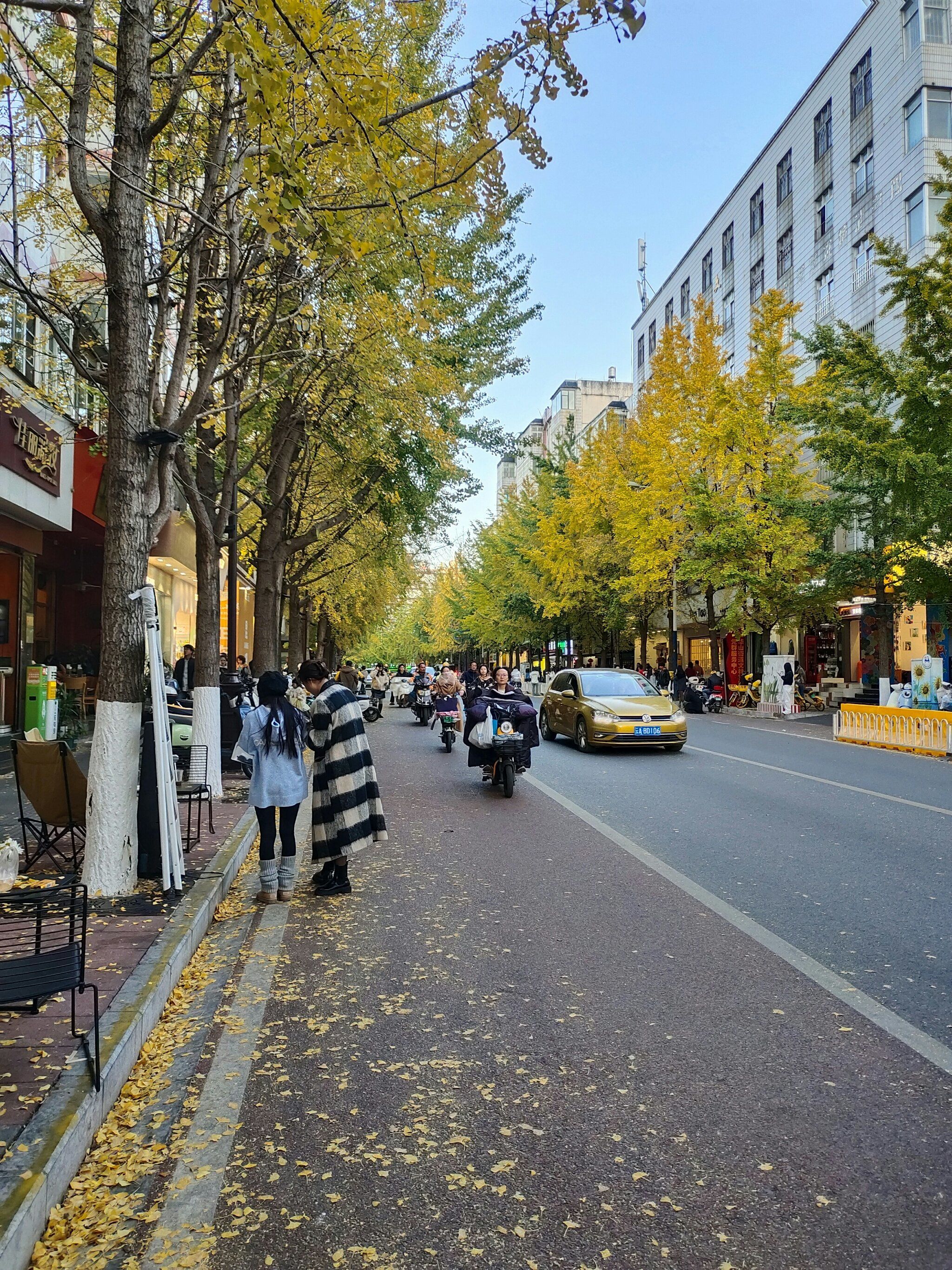 去文林街看银杏叶