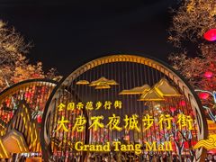 -大唐不夜城