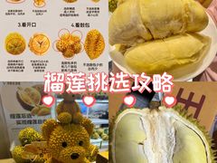 -深圳野生动物园