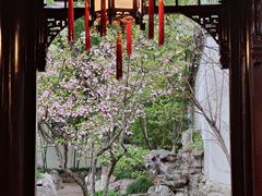 -豫园