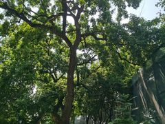 -南京晨光1865创意产业园