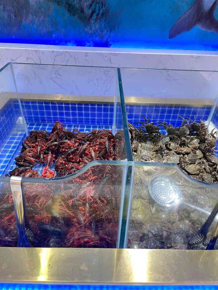 丹东市渔夫海鲜自助图片