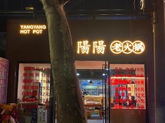 -阳阳老火锅(小南门店)