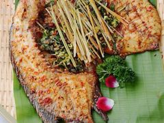 -云海肴·云南小炒·汽锅鸡(天津国金汇店)