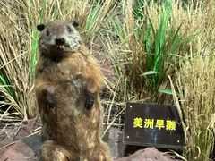 -陕西自然博物馆