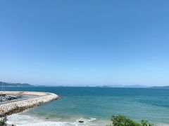 -杨梅坑