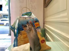 -上海哈尔滨食品厂(淮海中路店)