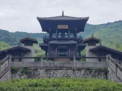 -大唐贡茶院