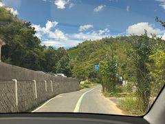 -阿露佳·舌尖上的安吉菜