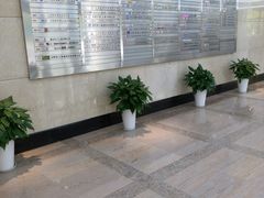 -新虹桥中心大厦