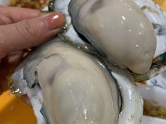 -蚝专家(北滘店)