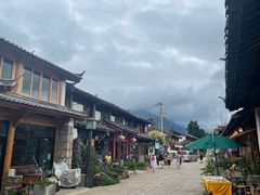 -蘑统田下·野生菌火锅