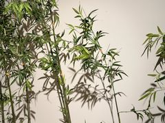 -六朝博物馆