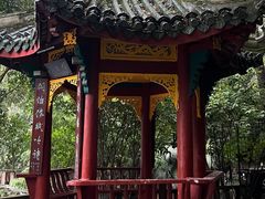 -房湖公园