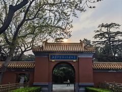 -北京市劳动人民文化宫