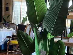 -阿斯牛牛·凉山菜(新会展店)