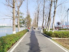-洋湖国家湿地公园