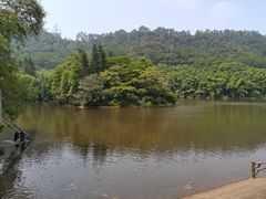 -滴水岩森林公园