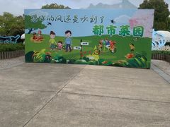 -上海都市菜园
