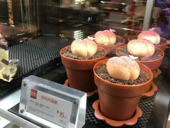 夏日物语蛋糕-85度C(苏州石路店)