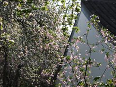 -莫愁湖公园