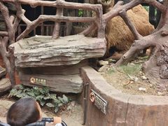 -长鹿旅游休博园