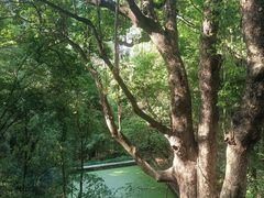 -盘龙寺