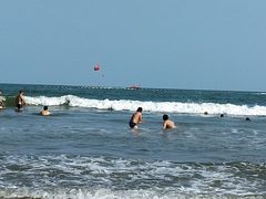 -日照海滨国家森林公园