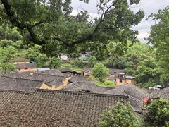 -杨家堂村