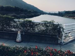 -东南花都花博园