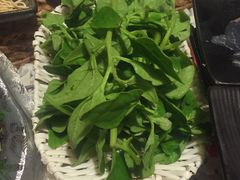 -慢丽江·云南野生菌土鸡锅(付家庄店)