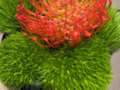 -海立阁海鲜江浙菜(漕河泾印象城店)