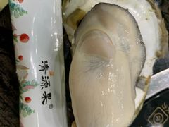 -蚝专家