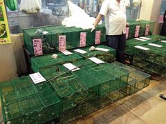 -荔城生鲜盛宴(番禺旗舰店)