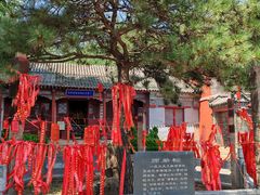 -泰山风景名胜区-普照寺