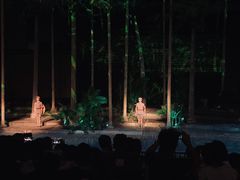 -三亚红色娘子军演艺公园景区