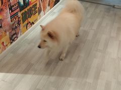 -肆兮眼镜·蔡司·徕卡战略合作店(大坪店)