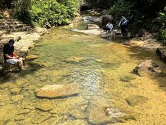 -广州白江湖森林公园