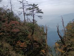 -峨眉山风景名胜区