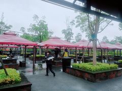 -春花秋色城市公园