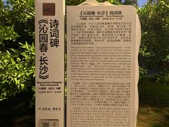 -壹盏灯(华远店)