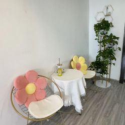 -凡碧诗毛孔收细