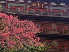 -越秀西湖花市(广州城市广场花卉店)