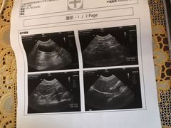 -爱侣宠医·鹦鹉专科·小型哺乳类·异宠专科(灵石路店)