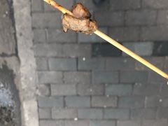 -云南路美食街