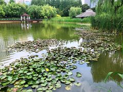 -新虹桥中心花园