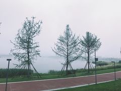 -星巴克(成都科学城店)