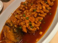 松鼠鱼-乾园(天河城店)